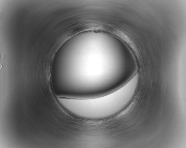 X0000089751377200706210915