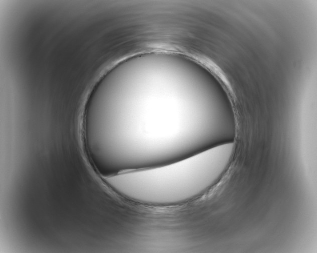 X0000089751381200706210915