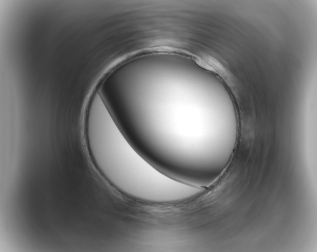X0000089751384200706210915