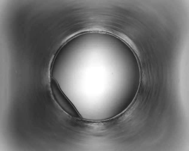 X0000089751388200706210915