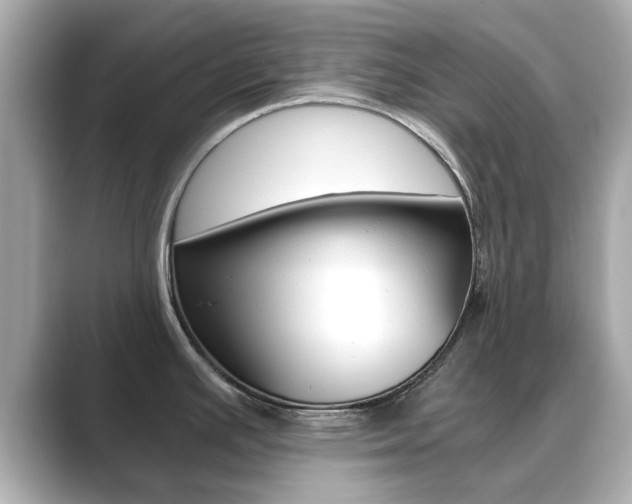 X0000089751391200706210915