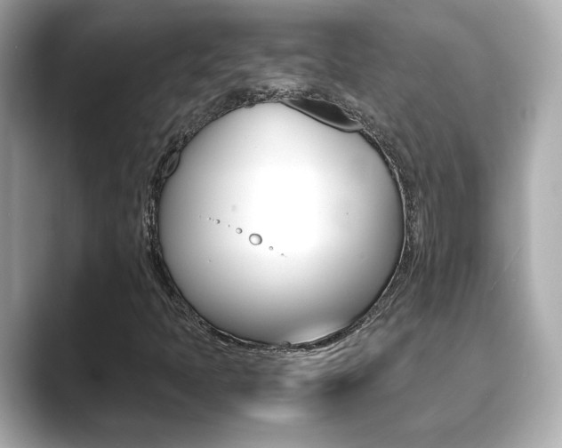 X0000089751397200706210914