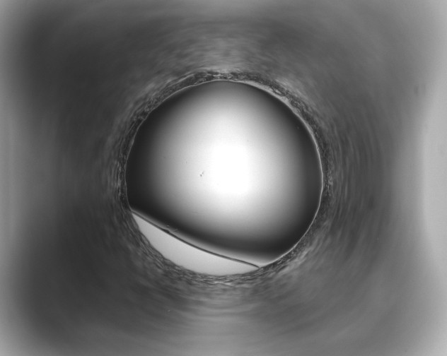 X0000089751398200706210914