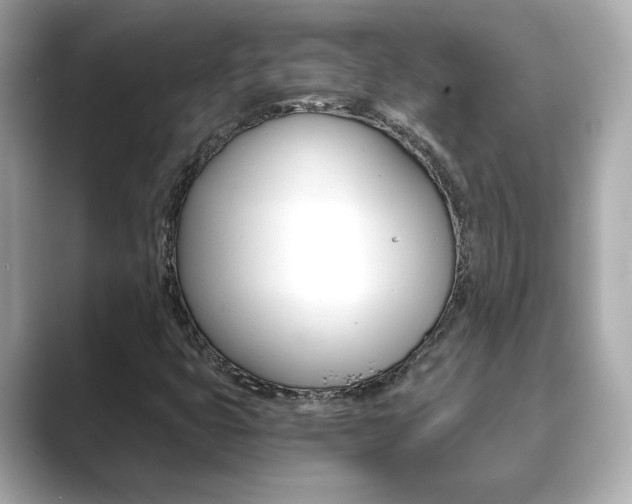 X0000089751399200706210914