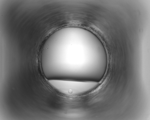 X0000089751401200706210914