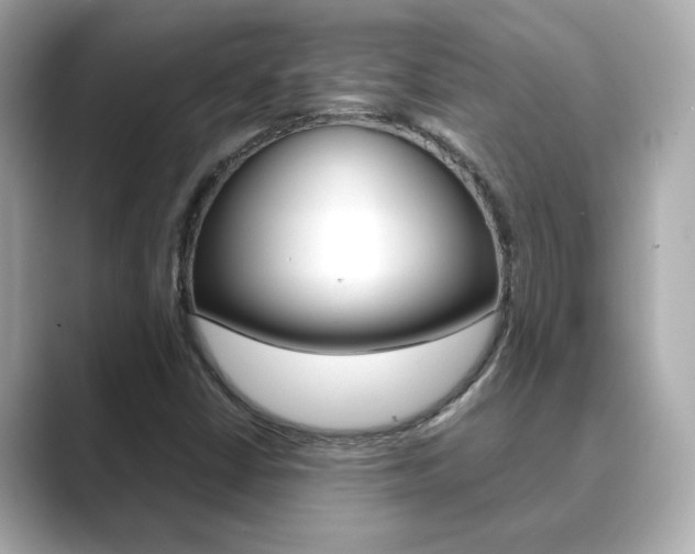 X0000089751402200706210914