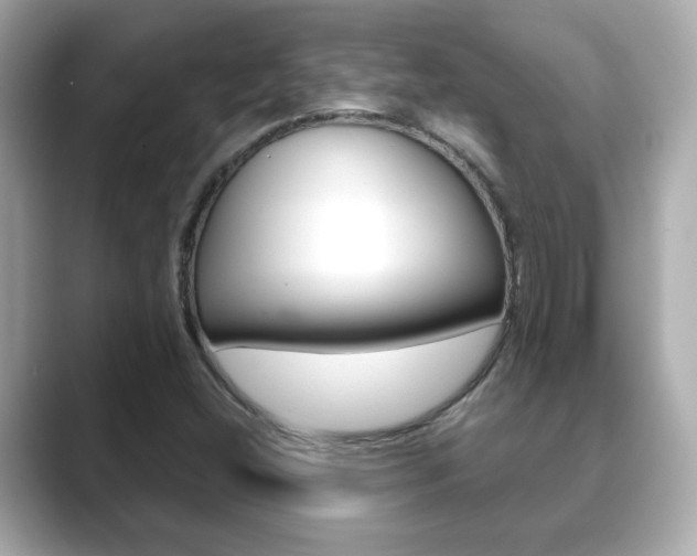 X0000089751404200706210915