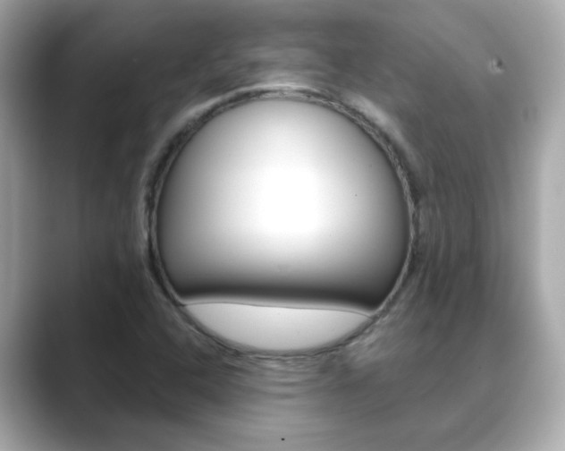 X0000089751408200706210915