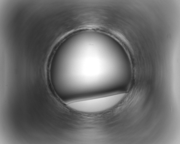 X0000089751412200706210915