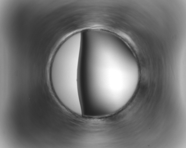X0000089751424200706210915