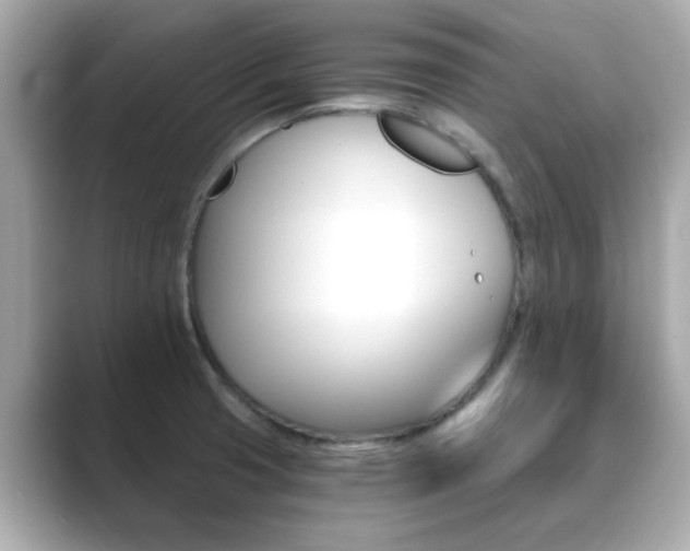 X0000089751425200706210915