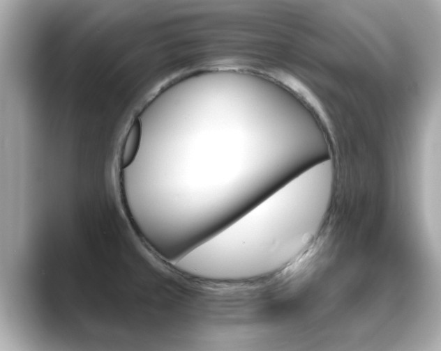 X0000089751429200706210915