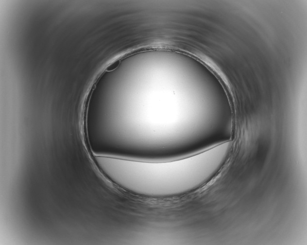 X0000089751437200706210915