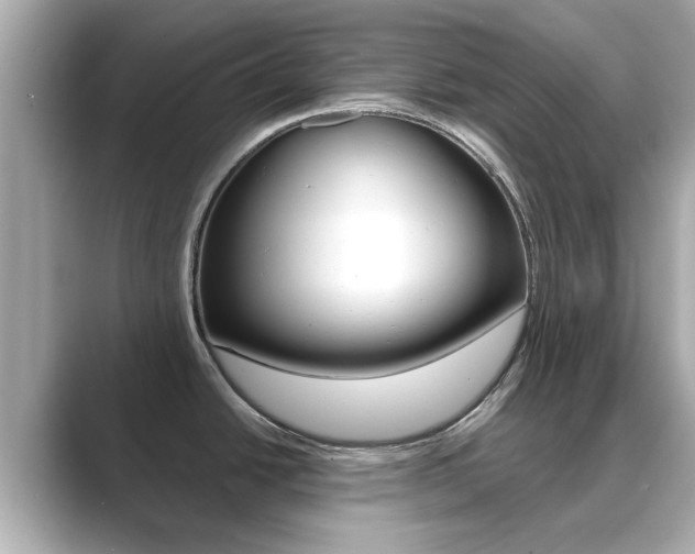 X0000089751438200706210915