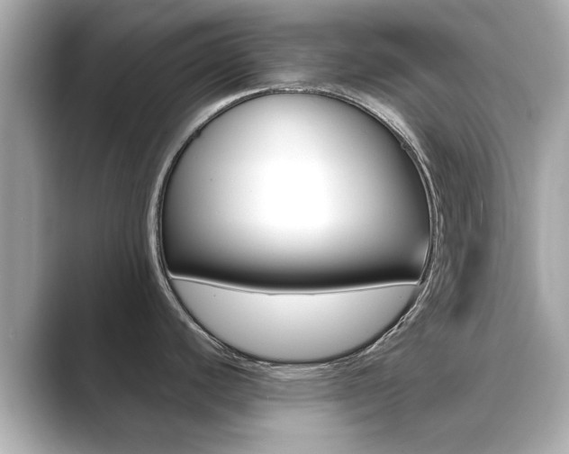X0000089751440200706210915