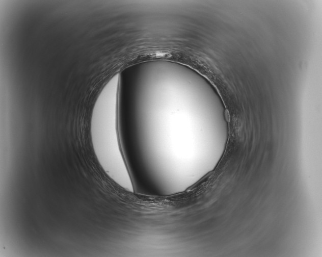 X0000089751442200706210914