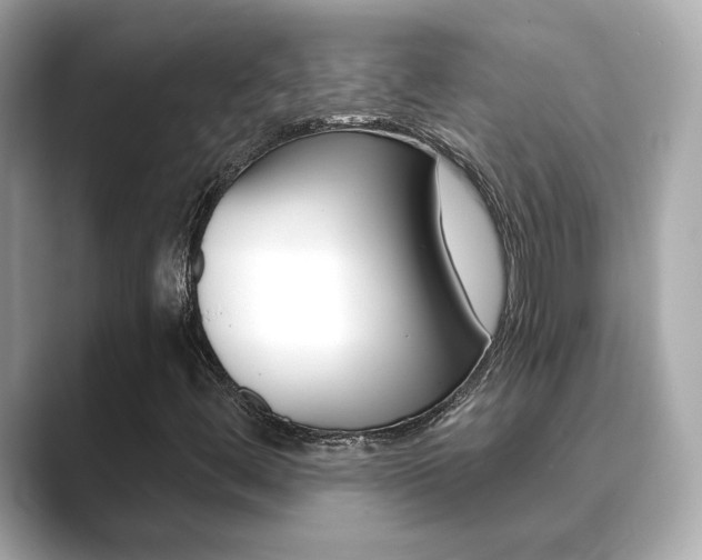X0000089751444200706210914