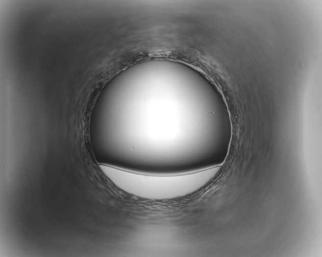 X0000089751445200706210914