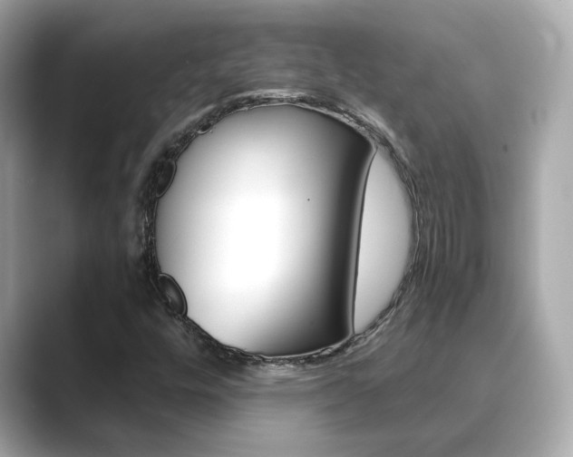 X0000089751448200706210914