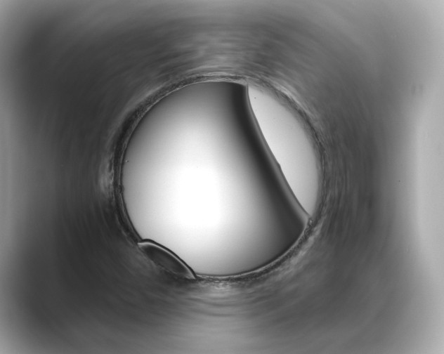 X0000089751450200706210914