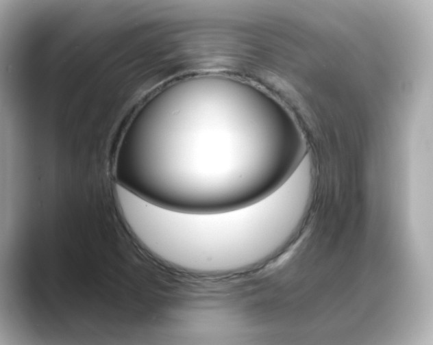 X0000089751457200706210914