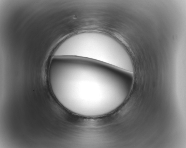 X0000089751458200706210914