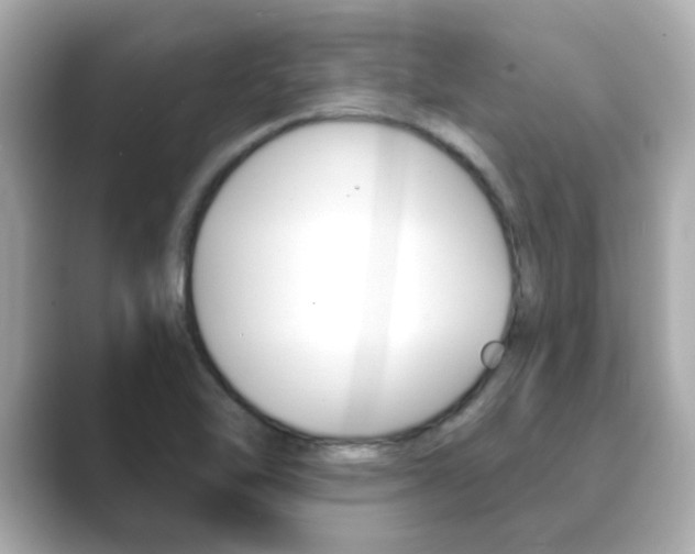 X0000089751462200706210914