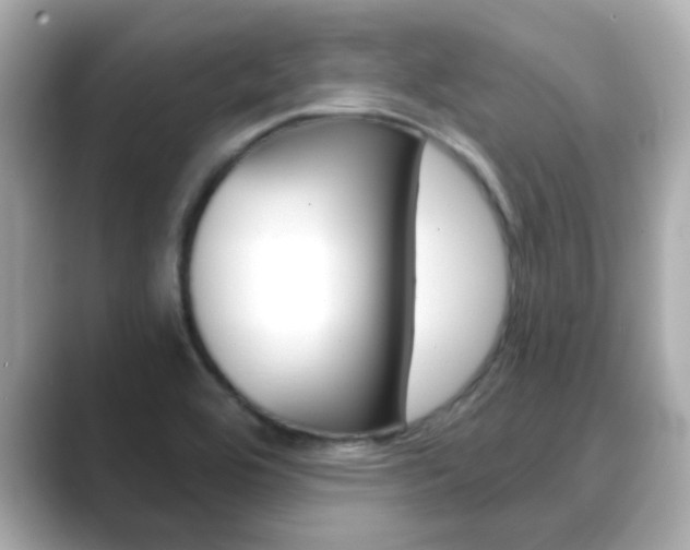 X0000089751464200706210914