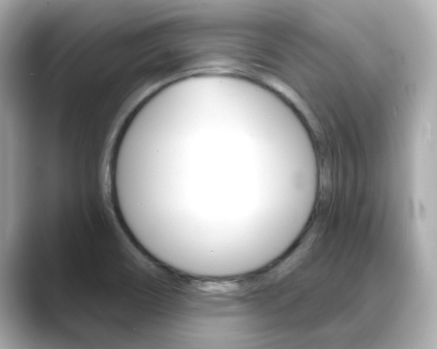 X0000089751466200706210914