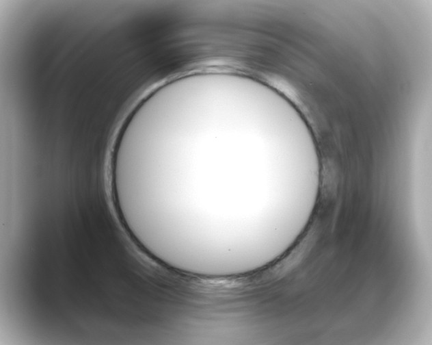 X0000089751474200706210914