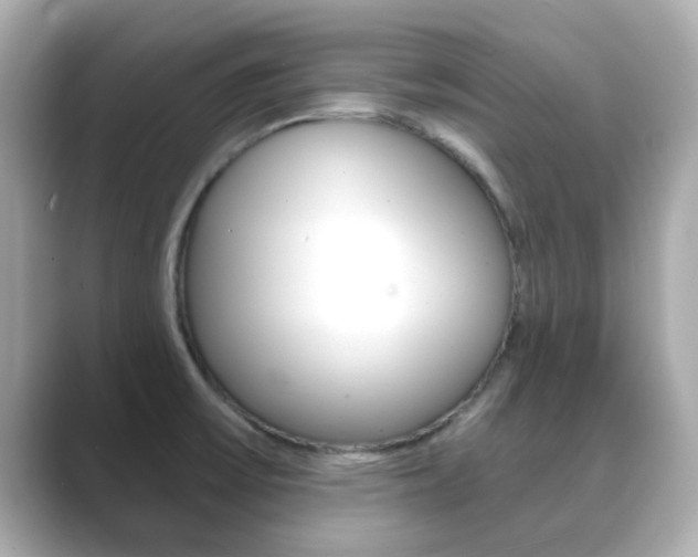 X0000089751475200706210914