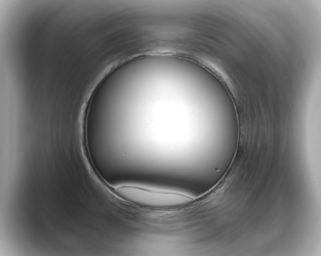 X0000089751483200706210914