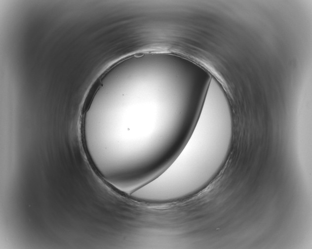 X0000089751484200706210914