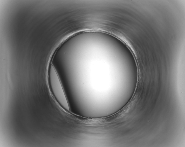 X0000089751485200706210914