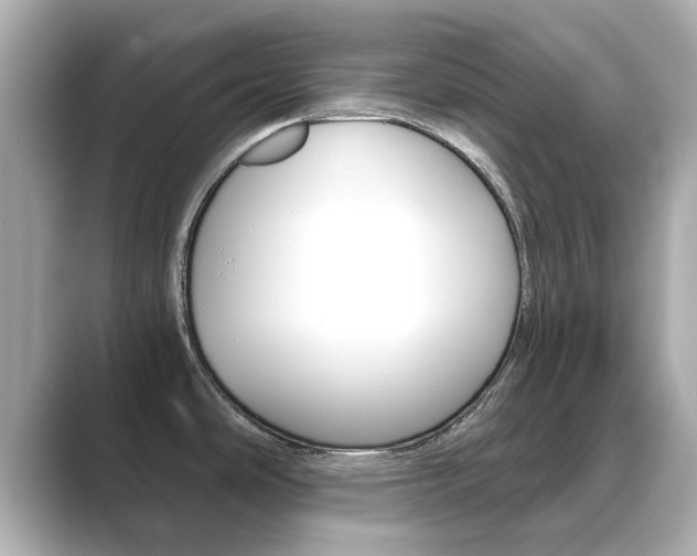 X0000089751486200706210914