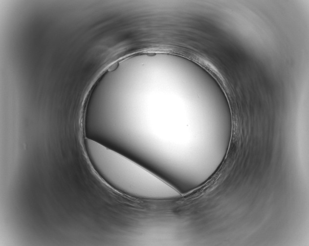 X0000089751487200706210914