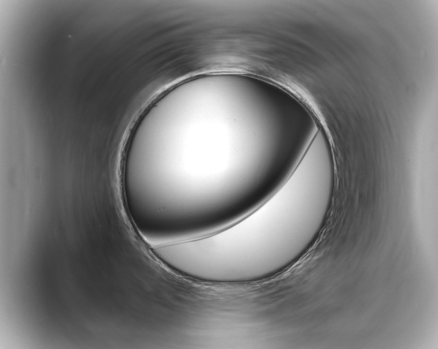 X0000089751488200706210914