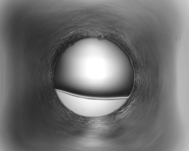 X0000089751490200706210913