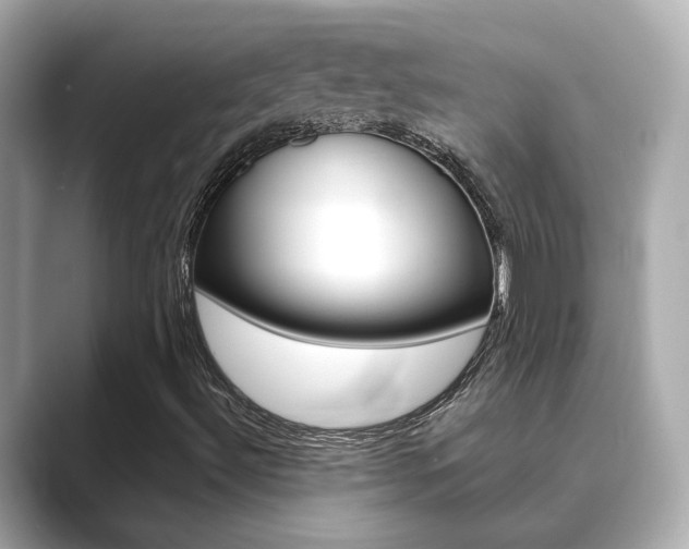 X0000089751492200706210913