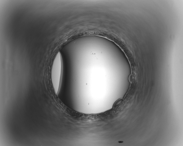 X0000089751493200706210913
