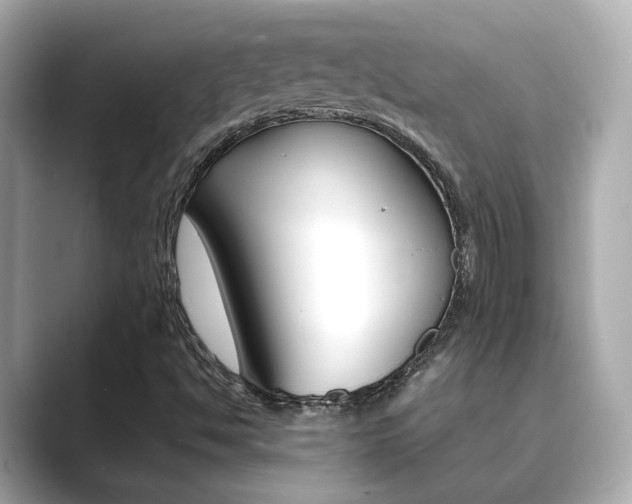 X0000089751494200706210913