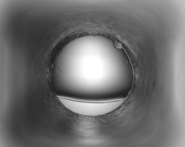 X0000089751495200706210913