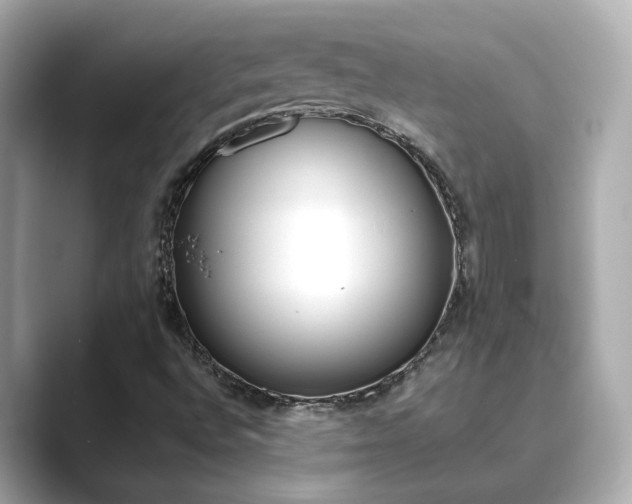 X0000089751496200706210913