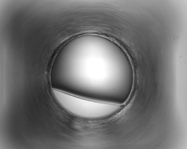 X0000089751497200706210913