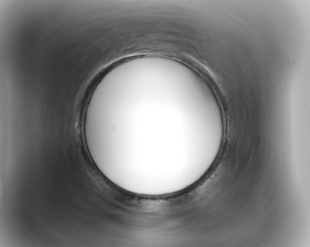 X0000089751498200706210913