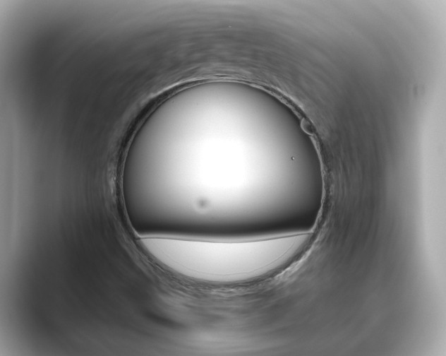 X0000089751499200706210913