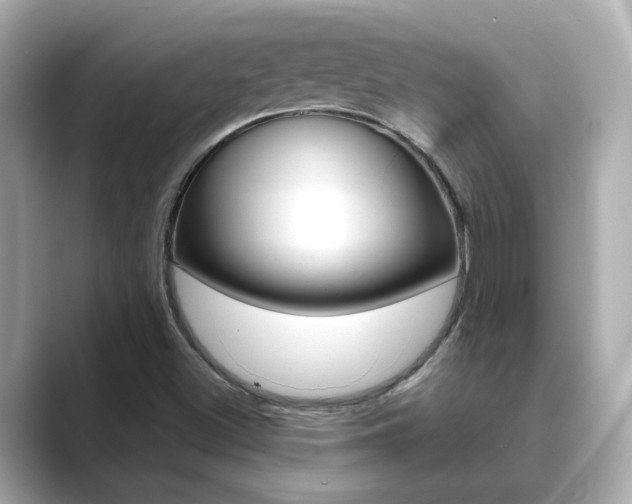 X0000089751500200706210913