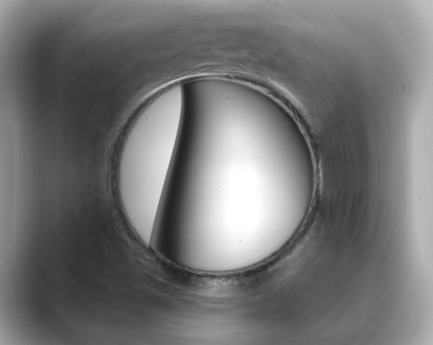 X0000089751501200706210913