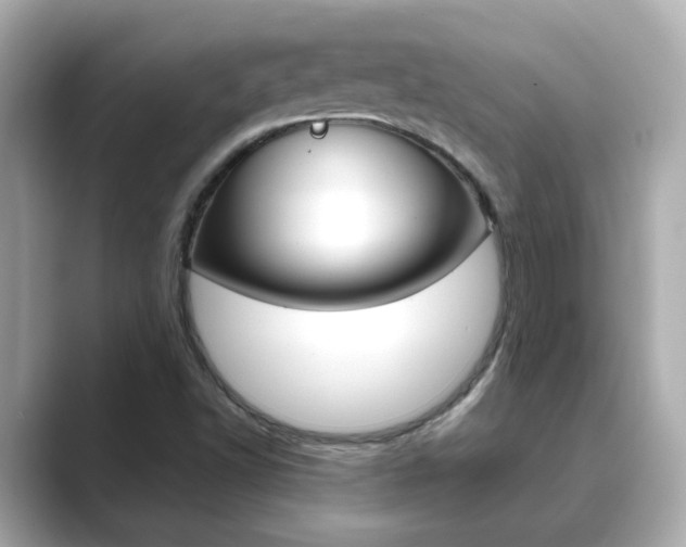 X0000089751502200706210913