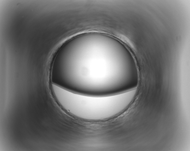 X0000089751504200706210913